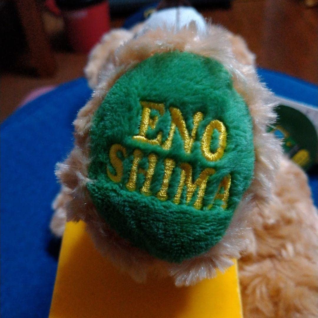 Amazon.co.jp: ご当地ベア神奈川限定江ノ電ベアぬいぐるみSサイズ藤二